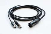 Kable komputerowe i do monitorów - HEDD Audio HEDD Audio HEDDphone One cable HPC2 4-pole XLR male balanced) to 2x mini XLR female) 2.2m +2) - miniaturka - grafika 1