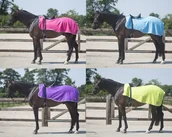 Derki dla konia - QHP Derka treningowa polarowa COLOR - 6145 - miniaturka - grafika 1