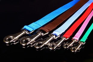 Haas F1 Team ZOO LESZCZ (PL) Solidna Dla Psa Taśma 30 mm ZL014 ZOOLESZCZ (PL) - Smycze dla psów - miniaturka - grafika 3