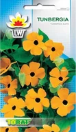 Nasiona i cebule - Toraf Tunbergia pnącze nasiona kwiatów 0,5g 00506 - miniaturka - grafika 1