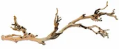 Pozostałe akcesoria dla kotów - Exo Terra EXO Terra Forest Branch, l PT3077 - miniaturka - grafika 1