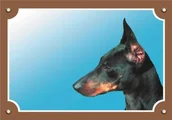 Dekoracje domu - Nobby 93055 znak ostrzegawczy dobermann - miniaturka - grafika 1