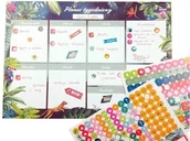 Szkolne artykuły papiernicze - Planer B4/52K + naklejki 2xA5 Dżungla - miniaturka - grafika 1