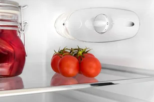 Lodówka Amica KS15614S - Lodówki - miniaturka - grafika 14