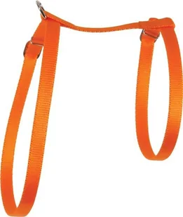 Zolux Zolux Szelki dla kota nylon 10 mm kol. pomarańczowy - Szelki dla kotów - miniaturka - grafika 2