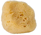 Pozostałe akcesoria do kąpieli i SPA - Croll & Denecke crollius i denecke L160 feinporiger naturalny gąbką, levantiner aus dem mittelmeer, rozmiar 16 cm L160 - miniaturka - grafika 1