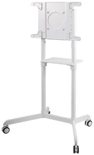 NewStar Stojak podłogowy NS-M1250WHITE - Akcesoria do monitorów - miniaturka - grafika 5