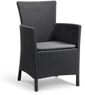 Fotele i krzesła ogrodowe - ALLIBERT fotel IOWA grafitowy - miniaturka - grafika 1