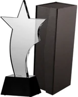 Gadżety dla kibiców - VS VS, Trofeum szklane + etui - miniaturka - grafika 1