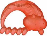 Gryzaki dla dzieci - Benir Gryzaczek wodny Biedronka - miniaturka - grafika 1