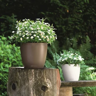 Lechuza Donica Classico Color 28 ALL-IN-ONE, muszkatołowa, 13203 - Donice - miniaturka - grafika 4