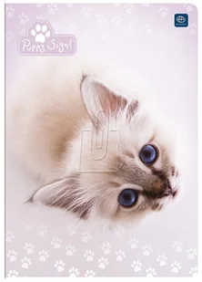 Inter-druk Zeszyt A5 16k. - linia - Zeszyty szkolne - miniaturka - grafika 8