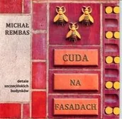 Albumy o  sztuce - Stowarzyszenie Rozwoju i Edukacji LIDER Cuda na fasadach - Michał Rembas - miniaturka - grafika 1