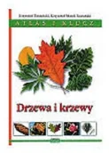 Przewodniki - Rostański Krzysztof Drzewa i krzewy Atlas i klucz - miniaturka - grafika 1