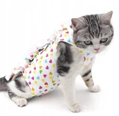 Specjalistyczne artykuły dla zwierząt - Ubranko Fartuszek Pooperacyjne Kota Psa Królika Ss - miniaturka - grafika 1