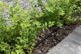 FLO WĄŻ KROPLUJĄCY PŁASKI 7,5M 89370 ZYSKAJ RABAT 30 ZŁ 89370 - Węże ogrodowe i zraszacze - miniaturka - grafika 4