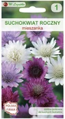 Nasiona i cebule - Legutko Suchokwiat roczny MIESZANKA - miniaturka - grafika 1