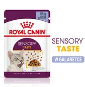 Mokra karma dla kotów - Royal Canin Sensory Taste w galarecie - 24 x 85 g - miniaturka - grafika 1