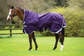 Derki dla konia - Horseware ireland Derka padokowa 0g 1000D RAMBO Wug Turnout - Horseware - purple/silver AAAW91-PI00 - miniaturka - grafika 1