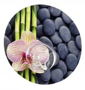 Wenko 20940100 Static-Loc haczyk na ścianę Uno SPA montaż bez wiercenia, tworzywo sztuczne, 8.5 x 2 x 8.5 cm, wielokolorowy 20940100 - Wieszaki i stojaki - miniaturka - grafika 2