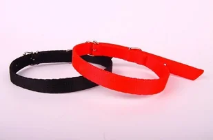 dr Seidla ZOO LESZCZ (PL) Soldina Dla Psa Taśma 16 mm / 47 cm ZL070 ZOO LESZCZ (PL) - Smycze dla psów - miniaturka - grafika 3