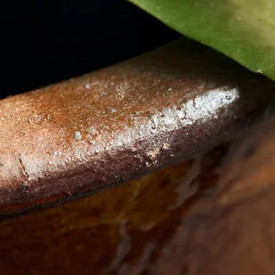 House Doctor Donica Whai L Donica Whai L - Donice - miniaturka - grafika 11