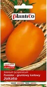 Nasiona i cebule - Plantico Pomidor Jokato 0,5g - miniaturka - grafika 1