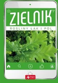 Słowniki języków obcych - Zielnik Rośliny Łąk I Pól Praca zbiorowa - miniaturka - grafika 1