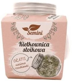 Semini Kiełkownica słoikowa 400 ml rzodkiewka Semini Dzień Kobiet | Taniej o 8% - Kiełkownice i akcesoria Semini Kiełkownica słoikowa 400 ml rzodkiewka Semini Dzień Kobiet | Taniej o 8% - Kiełkownice i akcesoria - miniaturka - grafika 1