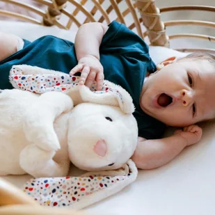 Whisbear maskotka Szumiący Króliś Felcia - Szumiące zabawki - miniaturka - grafika 3