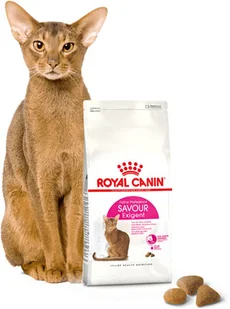 Royal Canin Exigent Savour Sensation 4 kg - Sucha karma dla kotów Royal Canin Exigent Savour Sensation 4 kg - Sucha karma dla kotów - miniaturka - grafika 2