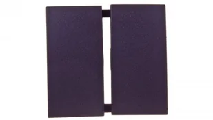 Berker Kwadrat/B3/B7 antracyt klawisz świecznikowy B_16231606 - Inne akcesoria elektryczne - miniaturka - grafika 2