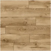 Panele podłogowe - Classen Panele podłogowe DĄB SABI AC5 10 mm - miniaturka - grafika 1