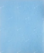 Akcesoria i części AGD - Coway FILTR.PYŁU.STORM OPINIE RATY FAKTURA VAT filtr.pyłu.Storm - miniaturka - grafika 1