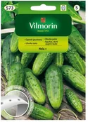 Nasiona i cebule - Vilmorin Nasiona ogórek gruntowy Hela F1 T - miniaturka - grafika 1
