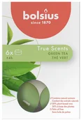 Świece - Bolsius Podgrzewacz zapachowy True Scents zielona herbata 6 szt. - miniaturka - grafika 1