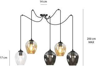 EULUNA Lampa wisząca Starla decentralna 5-pkt - Lampy sufitowe - miniaturka - grafika 5