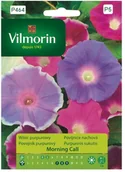 Nasiona i cebule - Vilmorin Nasiona wilec Morning Call mieszanka - miniaturka - grafika 1