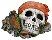 Dekoracje do akwarium - Nobby 28146 akwarium dekoracja Aqua ozdoby, Piraci trupia czaszka - miniaturka - grafika 1