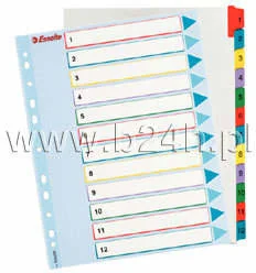 Esselte Przekładki wiel. opisu Maxi 1-12 100209 - Przekładki do segregatorów - miniaturka - grafika 2