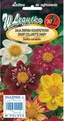 Nasiona i cebule - Legutko Dalia kołnierzyk Colarette mieszanka - miniaturka - grafika 1