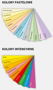 Emerson Papier Ksero A4 80g Liliowy (05902178116079) - Papier do drukarek - miniaturka - grafika 2