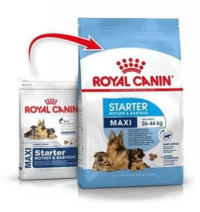 Royal Canin Maxi Starter Mother&Babydog 15 kg - Sucha karma dla psów - miniaturka - grafika 2