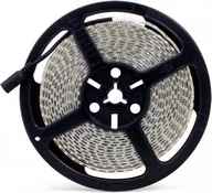 Taśmy LED - Abilite Taśma Dioda LED-2835 IP65 600LEDS B.ZIMNY 5m/8mm/12V/18,8W BIAŁE PODŁO - miniaturka - grafika 1