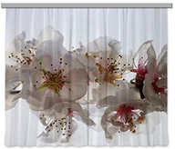 Zasłony - AG Design Firanka/zasłona FCPxxL 6409 kwiaty, 280x245 cm, 2-częściowa FCPxxL 6409 - miniaturka - grafika 1