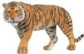 Figurki dla dzieci - Papo 50004 - tygrys, figurka do gry - miniaturka - grafika 1
