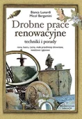 Poradniki obcojęzyczne - Lunardi Bianca, Bargamini Micol Drobne prace renowacyjne techniki, porady - miniaturka - grafika 1
