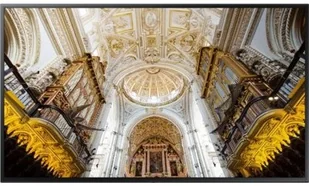 Samsung Monitor QM49N LH49QMNEBGC/EN - Monitory reklamowe i wyświetlacze - miniaturka - grafika 4