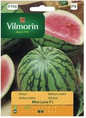 Nasiona i cebule - Vilmorin Nasiona arbuz Mini Love - miniaturka - grafika 1