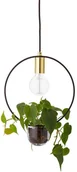 Lampy sufitowe - Bloomingville Bloomingvile lampa-kwietnik 68801023 - miniaturka - grafika 1